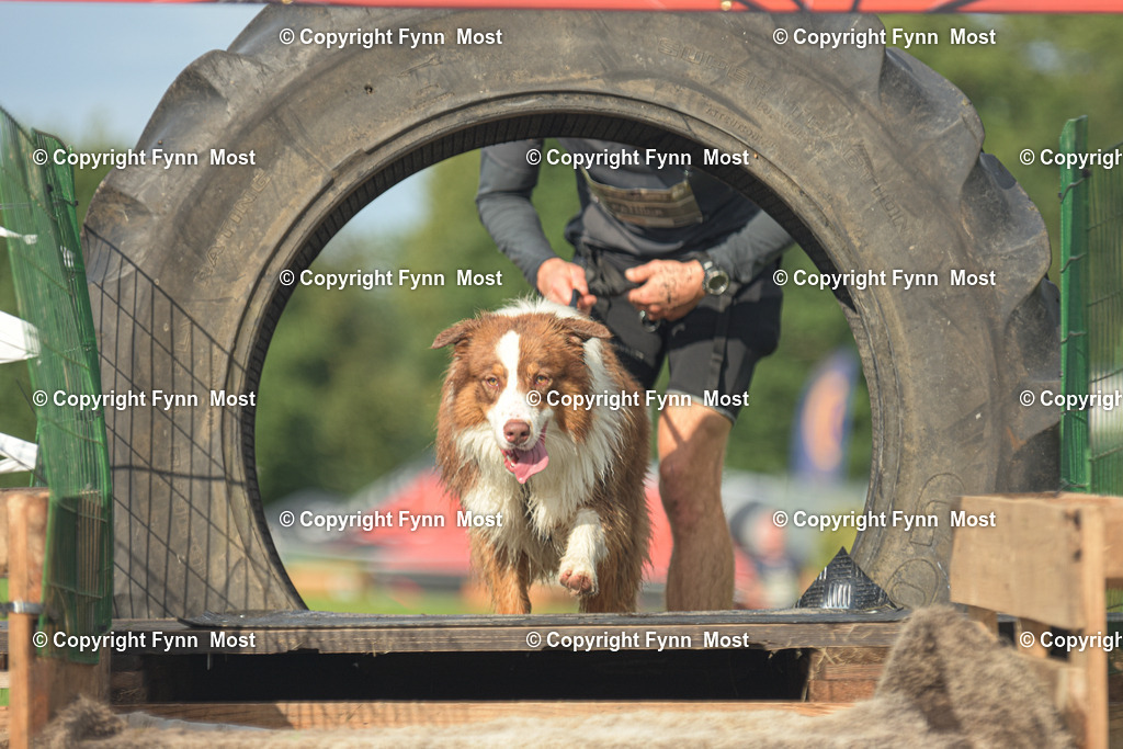 DSC_0100 | Hallo und herzlich Willkommen auf meiner Shop-Seite Fynn Most.

Ich wünsche Dir viel Spaß beim stöbern durch die Bilder, wenn Du Fragen hast oder Bilder vermisst, kannst du mir gerne eine Nachricht schreiben. - Realisiert mit Pictrs.com