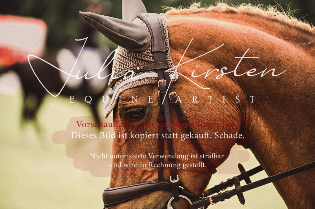 DSC_4866 | Pferde- und Turnierfotografie in Westsachsen. Pferdeportraits, Auftragszeichnungen und intuitive Kunst.