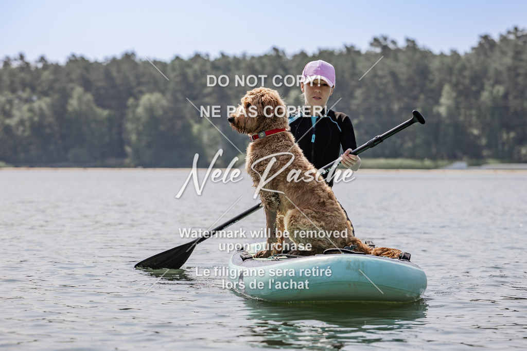 BUHU_SUP_530 | nelerasche