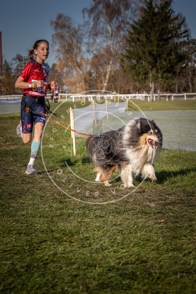 CaniXpix_0L8A7919 | Hundefotografie, Tierfotograf, Pfotenfotografie, Fotoshooting Hund, Hunde Portrait, Hundesport, Hundeportraits, Heideshooting, Hunde, Sportfotograf, Hundefotograf, Turnierhundsport, THS,  - Realisiert mit Pictrs.com