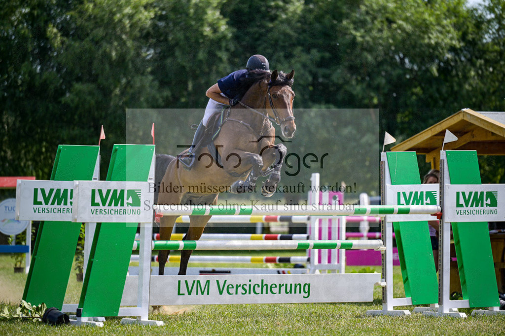 Reitturnier Voxtrup | Entdecke hochwertige Reitturnierfotos von Foto Oger. Professionell, emotional und authentisch – jetzt Lieblingsmomente im Shop bestellen.Deutschlandweite Turnierfotografie. - Realized with Pictrs.com