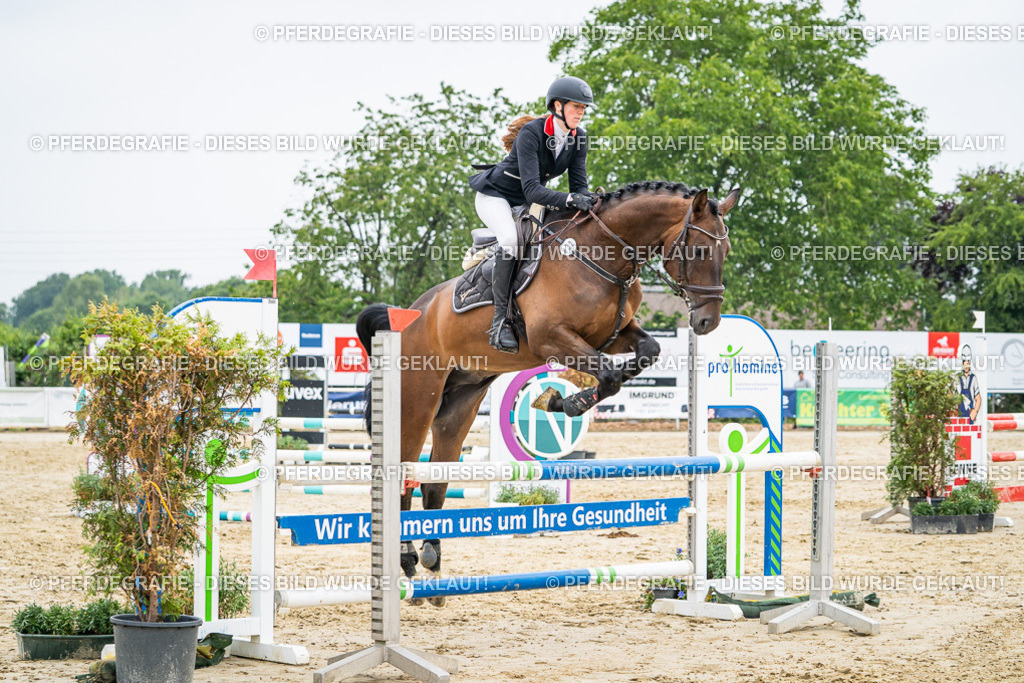 DSC00403 | Pferdegrafie