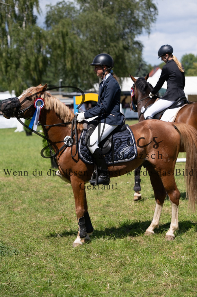 A7V04384 | Turnier/Reitfotograf