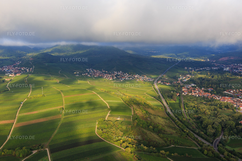 Luftbild: Weinberge zwischen Birkweiler und Siebeldingen aus Osten im Ortsteil Arzheim in Landau im Bundesland Rheinland-Pfalz in Deutschland. Foto: IMG_103335.jpg vom 10.09.2017 durch Werner Riehm/FLY-FOTO.de
