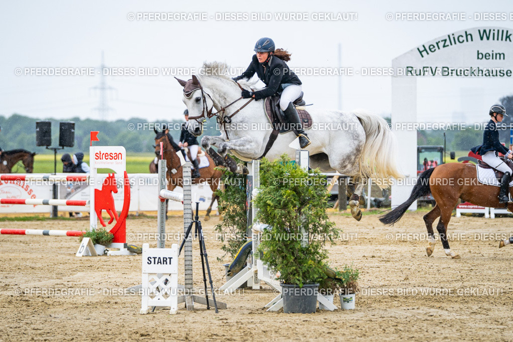 DSC08672 | Pferdegrafie