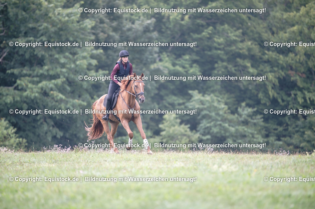 20250726_Vielseitigkeitslehrgang-Marbach_0056 | Foto: Thomas Hartig