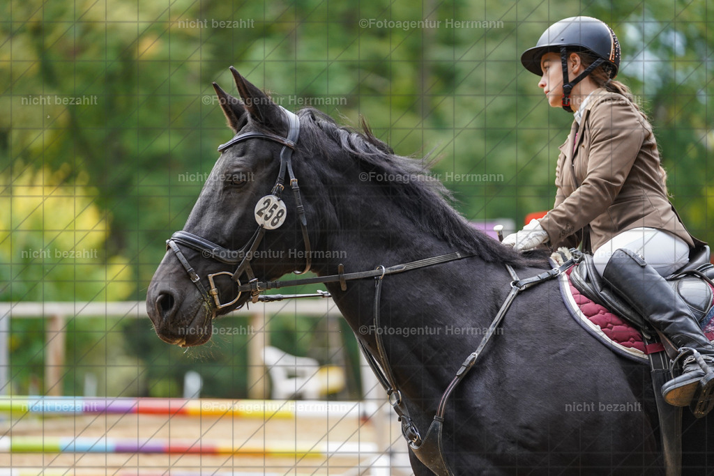 20231008-SN_01014 | Professionelle Turnier- und Reitsportfotografie - mit dem Finger am Auslöser. Pferdebilder aus dem Reitsport von den Turnierfotografen  Bayern , Pferdefotograf Bayern, Pferdeshooting Turnierbilder, Hochzeitsfotograf, Eventfotograf, Hochzeitsbilder