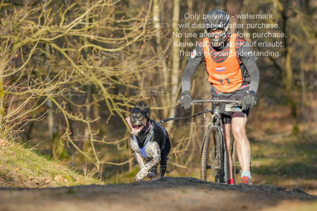 Sa_Scooter-136 | stephaniefillaphotographie - Realisiert mit Pictrs.com