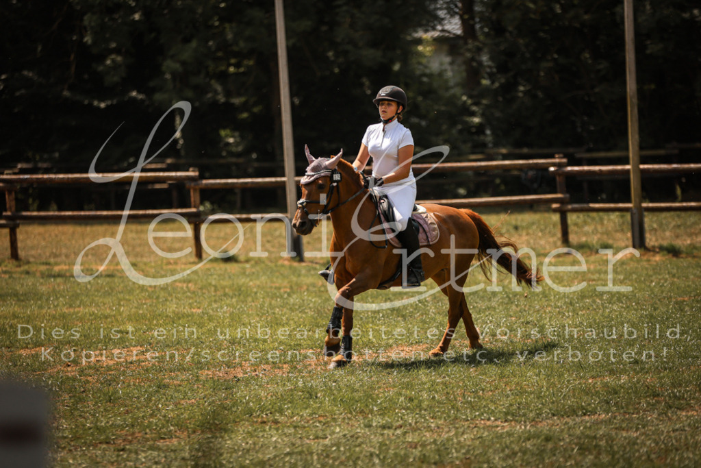 15.SaStE00012 | Leoni Ertmer Photography - Realisiert mit Pictrs.com