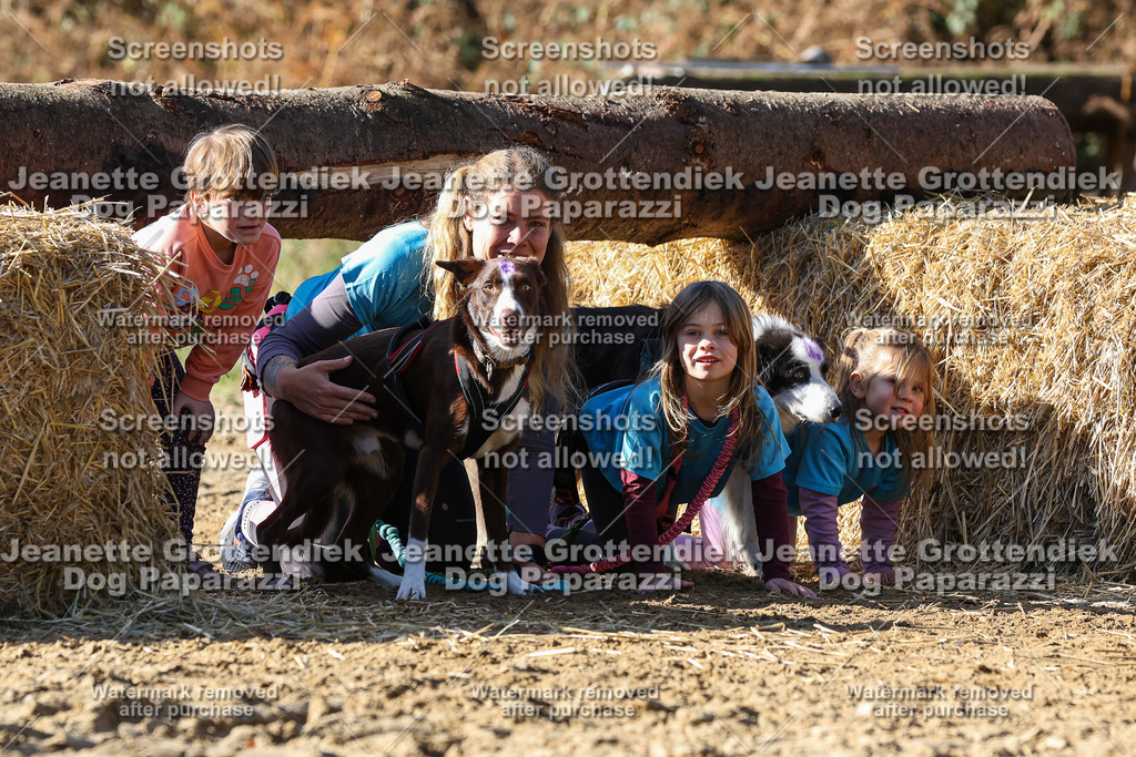 Dog Paparazzi - Strongdog 10-25-2951 | Dog Paparazzi Jeanette Grottendiek Fotografie & Videografie - Realisiert mit Pictrs.com