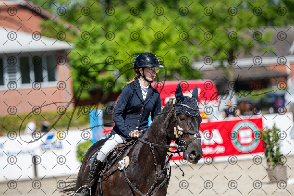 KPT_5264 | andre_photographic