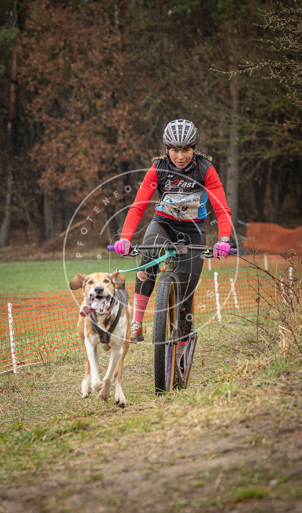 0L8A9040 | Hundefotografie, Tierfotograf, Pfotenfotografie, Fotoshooting Hund, Hunde Portrait, Hundesport, Hundeportraits, Heideshooting, Hunde, Sportfotograf, Hundefotograf, Turnierhundsport, THS,  - Realisiert mit Pictrs.com