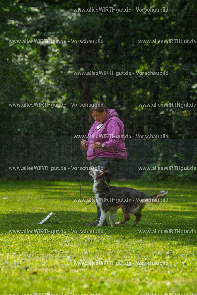 @allesWIRTHgut_Tierfotografie - www.allesWIRTHgut.de - 7R504949 | Professionelle Tierfotografie in Mönchengladbach von Daniel Wirth (allesWIRTHgut). Liebevolle & natürliche Bilder von Hunden & Katzen für unvergessliche Erinnerungen.