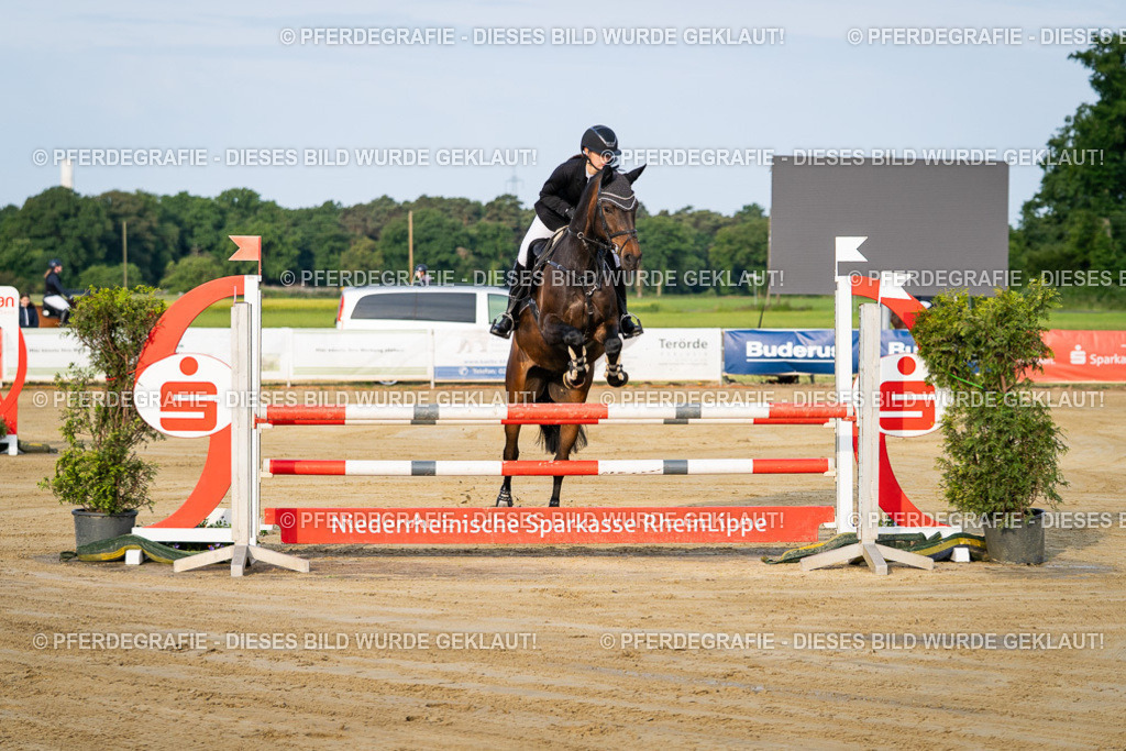 DSC01810 | Pferdegrafie