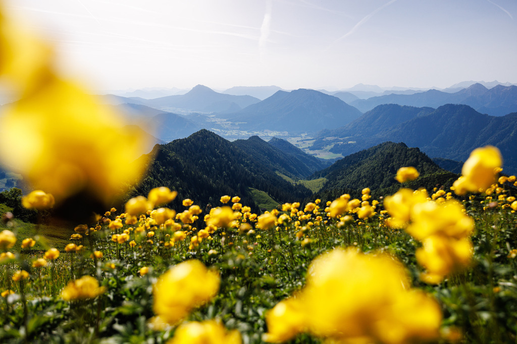 GT2A0632 | ap-design // andreas plenk - Realisiert mit Pictrs.com