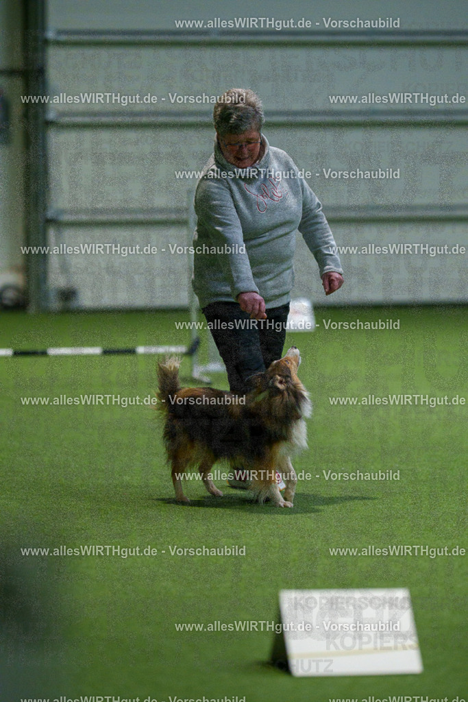 7R504874 | Professionelle Tierfotografie in Mönchengladbach von Daniel Wirth (allesWIRTHgut). Liebevolle & natürliche Bilder von Hunden & Katzen für unvergessliche Erinnerungen.