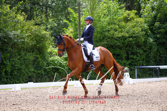 DKP41213 | Turnierfotos kaufen im Webshop von Daniel Kuhl Photography – entdecke professionelle Reitsportfotos aus Turnieren & Events. Hochwertige Turnierbilder online bestellen & sichern. Jetzt Fotos von Reitsportturnieren kaufen!