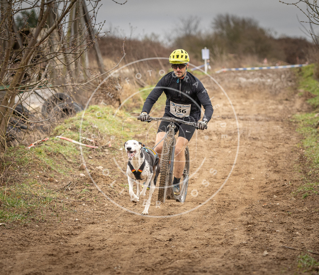 DV3A1323 | Hundefotografie, Tierfotograf, Pfotenfotografie, Fotoshooting Hund, Hunde Portrait, Hundesport, Hundeportraits, Heideshooting, Hunde, Sportfotograf, Hundefotograf, Turnierhundsport, THS,  - Realisiert mit Pictrs.com