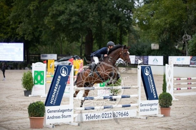 2B4A1736 | pixelfaenger - Realisiert mit Pictrs.com