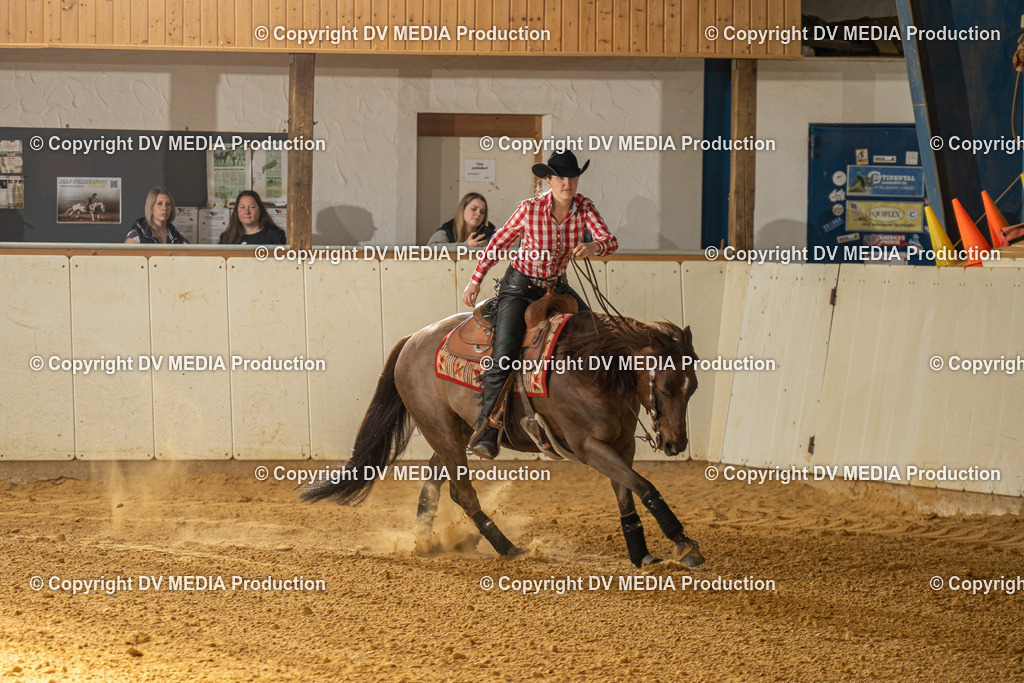 MIT01027 | dv-media-shop - Realisiert mit Pictrs.com