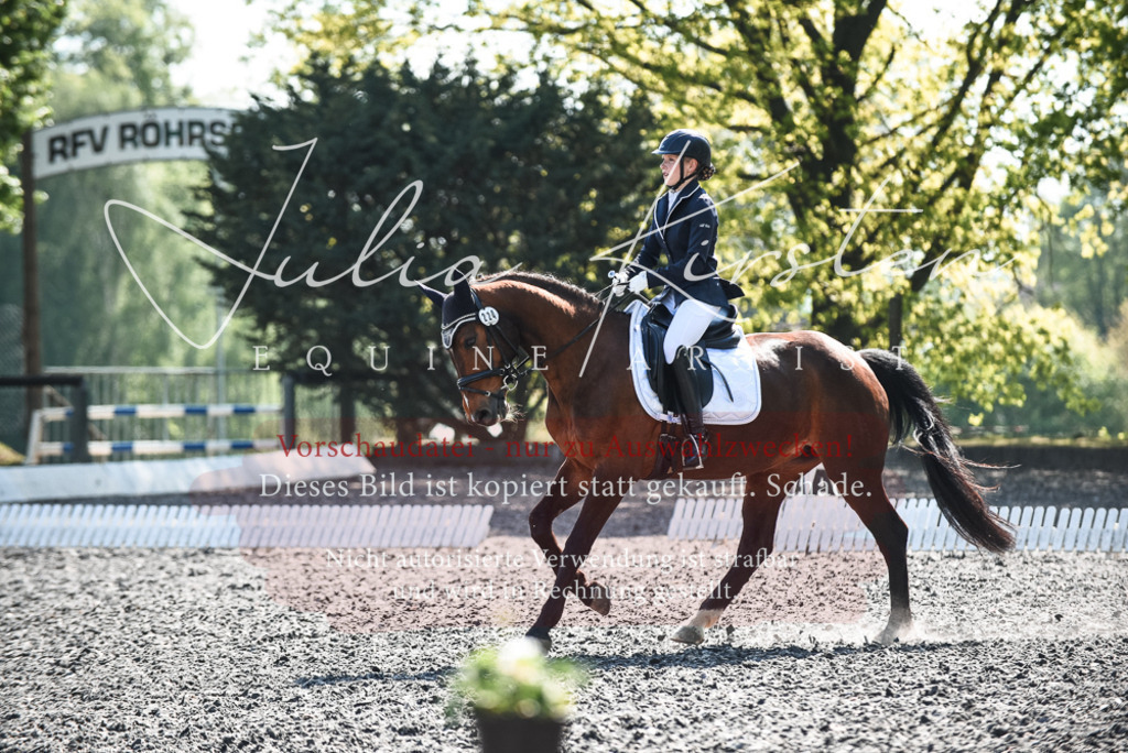 DSC_8904 | Pferde- und Turnierfotografie in Westsachsen. Pferdeportraits, Auftragszeichnungen und intuitive Kunst.