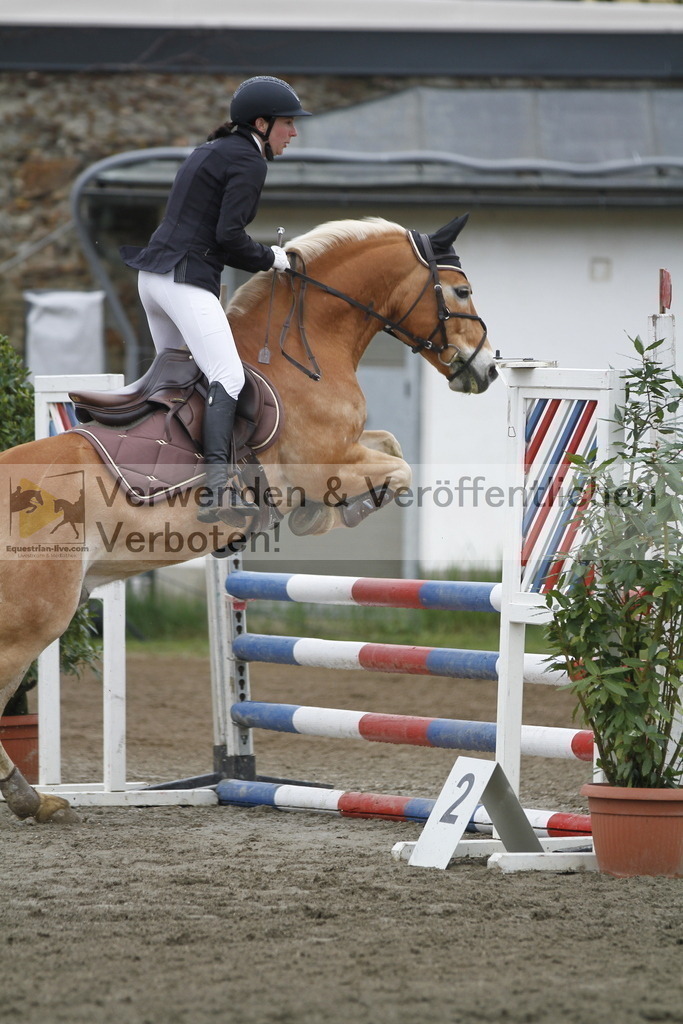 _MG_4406 | equestrian-live-com