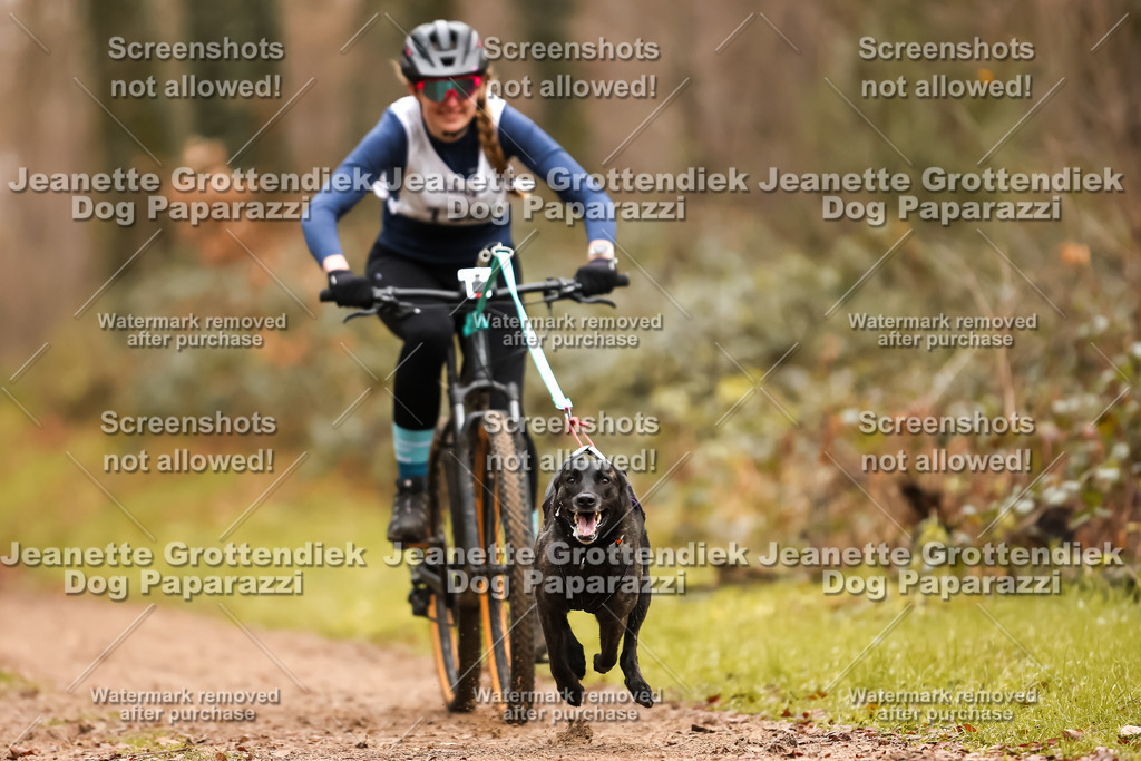 Dog Paparazzi - Speedhunter Mannheim  2025-353 | Dog Paparazzi Jeanette Grottendiek Fotografie & Videografie
