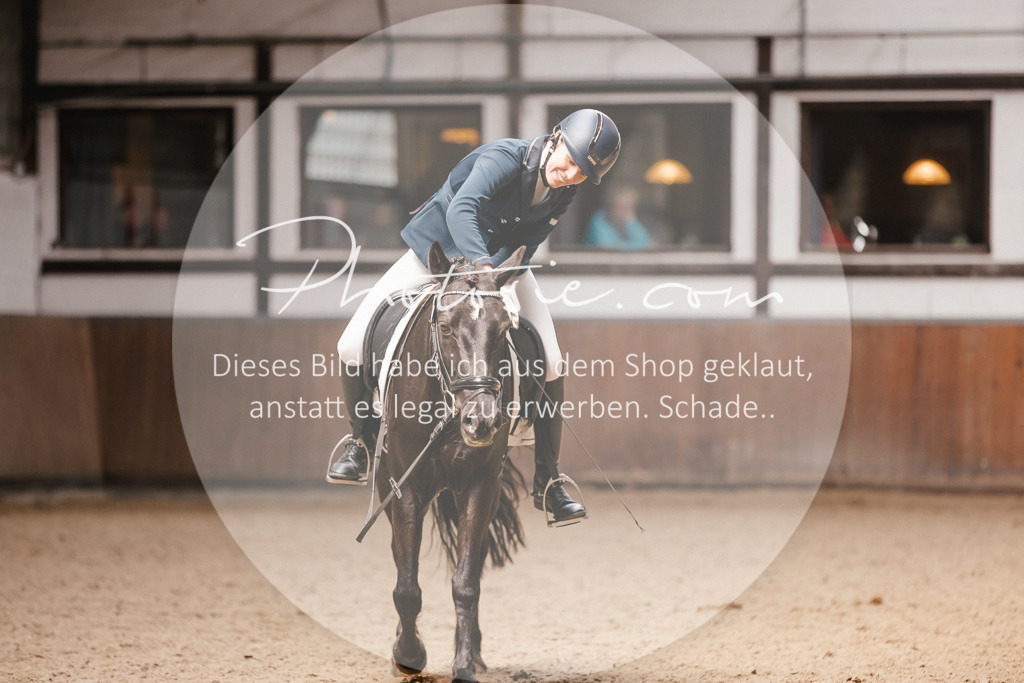 3I6A7569 | Stimmungsvolle Portraits und Reitsportfotografie im Ruhrgebiet und im Münsterland.

Pferdefotografie, Hundefotografie, Tierfotografie, Reportagen, Portraits von Tier und Mensch, Turnierfotografie in Bochum, Recklinghausen, Marl, Haltern am See, Dülmen.. - Realisiert mit Pictrs.com