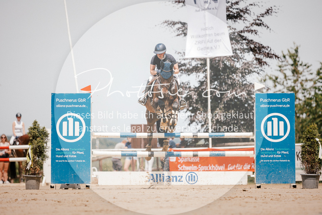 3I6A7783 | Stimmungsvolle Portraits und Reitsportfotografie im Ruhrgebiet und im Münsterland.

Pferdefotografie, Hundefotografie, Tierfotografie, Reportagen, Portraits von Tier und Mensch, Turnierfotografie in Bochum, Recklinghausen, Marl, Haltern am See, Dülmen.. - Realisiert mit Pictrs.com