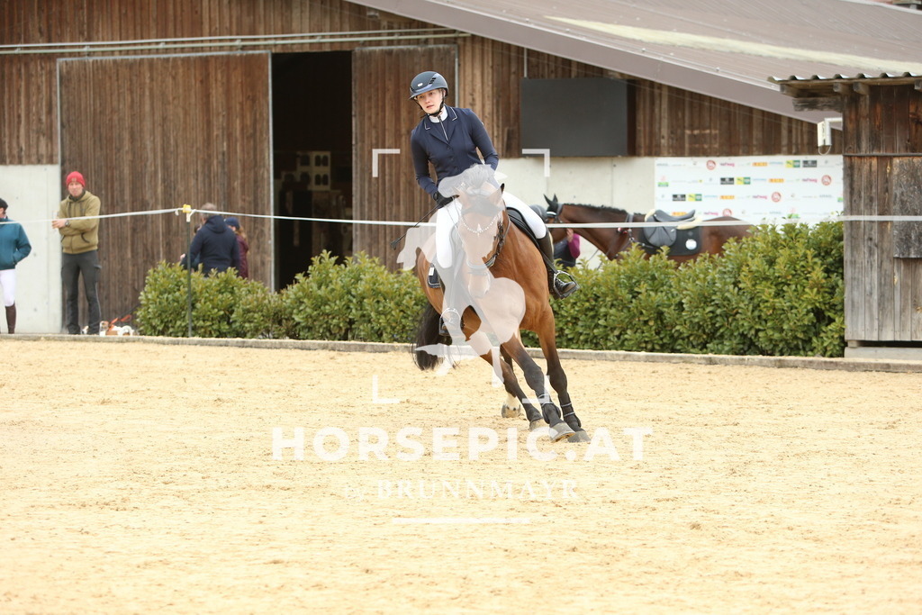 DL2Q2307 | Willkommen bei Brunnmayr - Design & Fotografie – Ihrem Spezialisten für Reitturniere und Pferdeveranstaltungen in Oberösterreich, Salzburg und Bayern! Seit über 17 Jahren sind wir leidenschaftlich dabei.