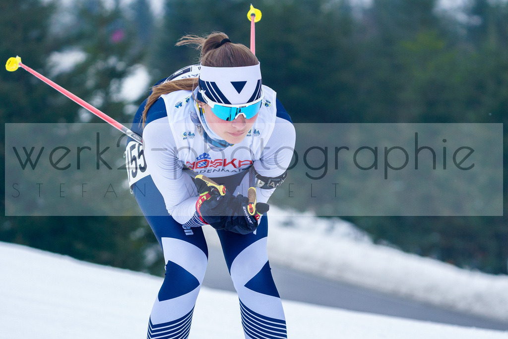 DSC Arber | Bayerischer Wald am 9. bis 12. Februar 2023
