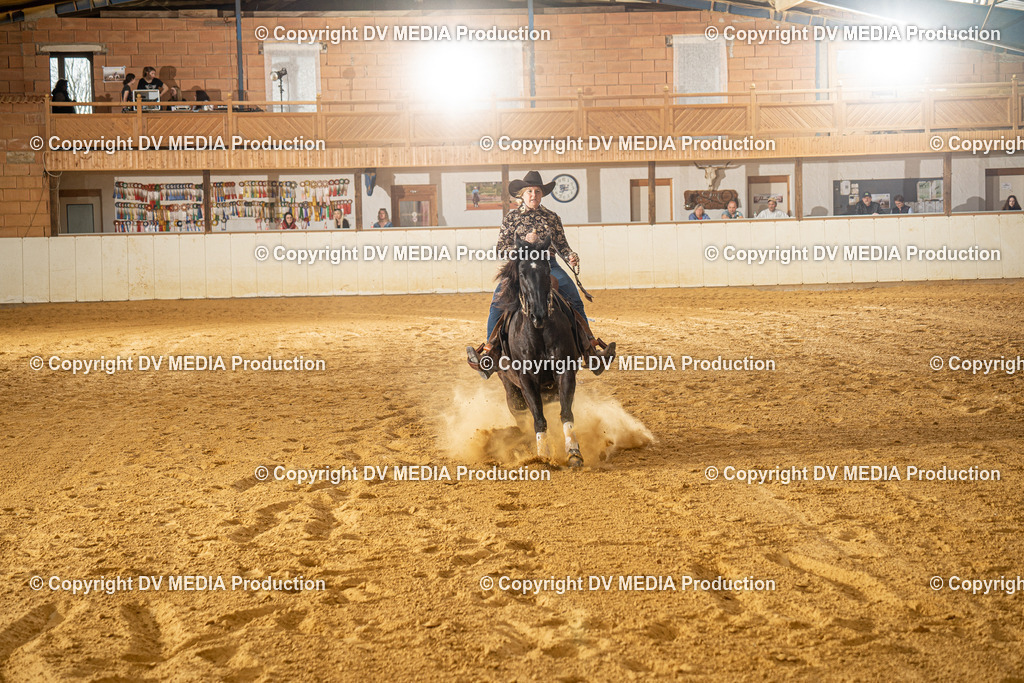 MIT00418 | dv-media-shop - Realisiert mit Pictrs.com