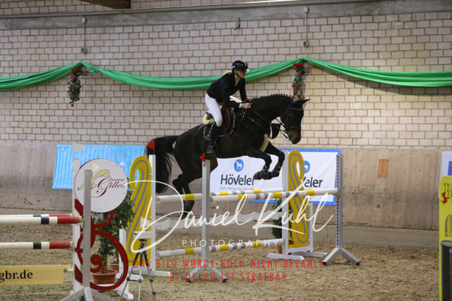 IMG_0891 | Turnierfotos kaufen im Webshop von Daniel Kuhl Photography – entdecke professionelle Reitsportfotos aus Turnieren & Events. Hochwertige Turnierbilder online bestellen & sichern. Jetzt Fotos von Reitsportturnieren kaufen!