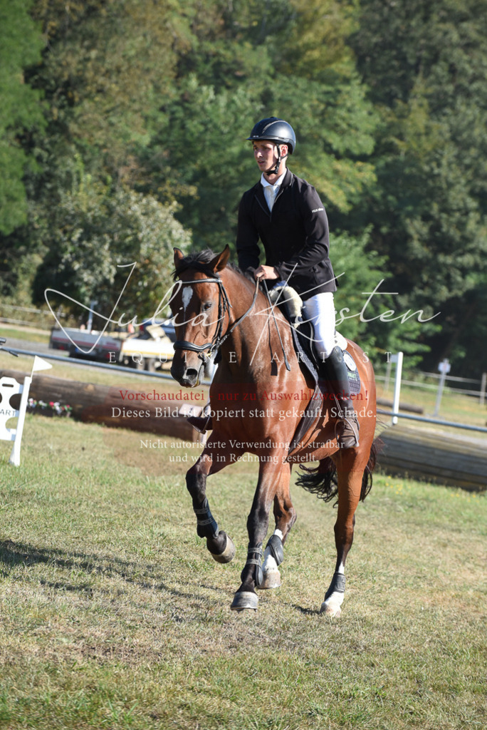 DSC_5359 | Pferde- und Turnierfotografie in Westsachsen. Pferdeportraits, Auftragszeichnungen und intuitive Kunst.