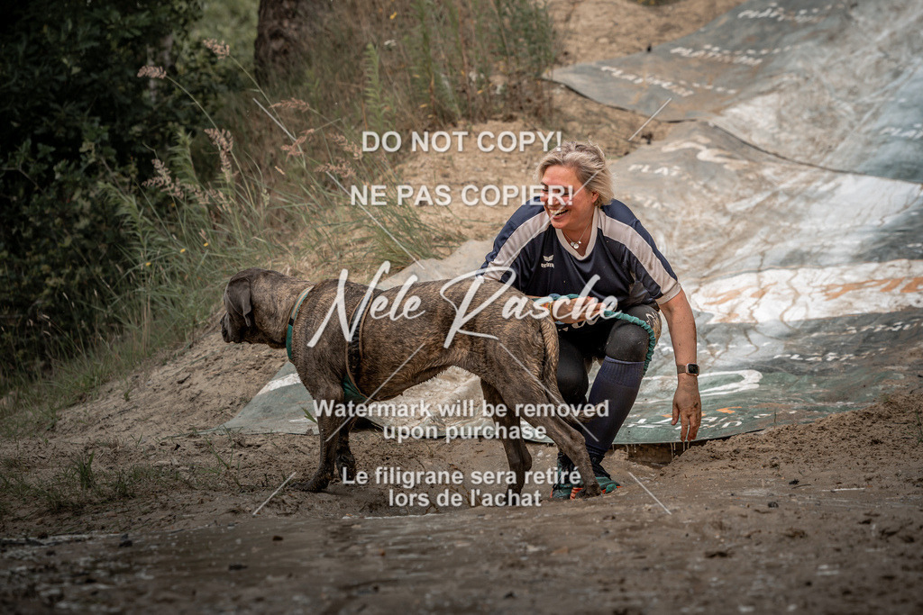 nelerasche_sa1300-1345_119 | nelerasche
