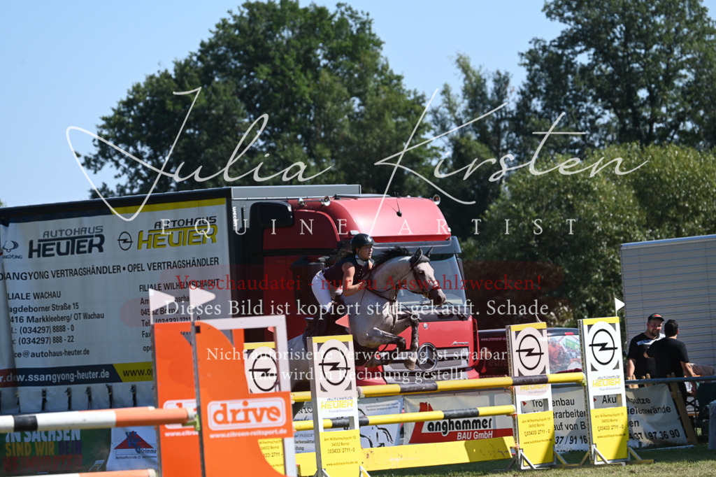 DSC_6364 | Pferde- und Turnierfotografie in Westsachsen. Pferdeportraits, Auftragszeichnungen und intuitive Kunst.