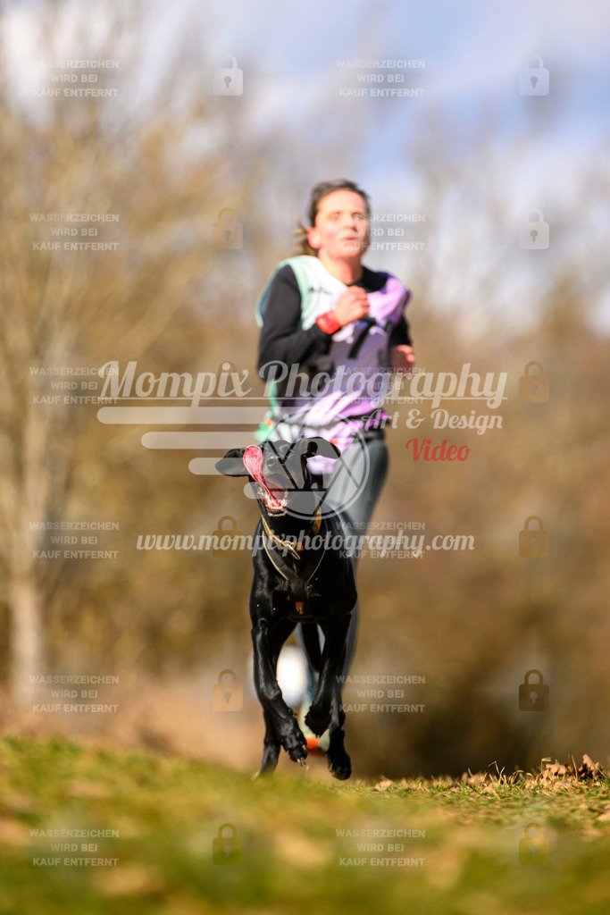 MompixPhotography_10Schwabentrail2026_SO_Canicross-79 | PayLife