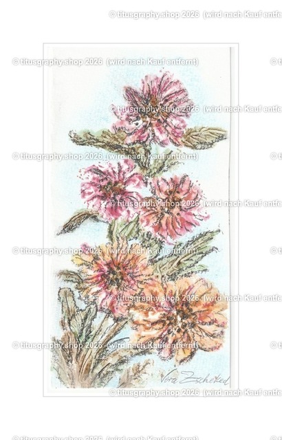 Blumengruß Variation 07 | Zeichnung von Vera Zschecked exclusiv auf titusgraphy.eu - Realisiert mit Pictrs.com