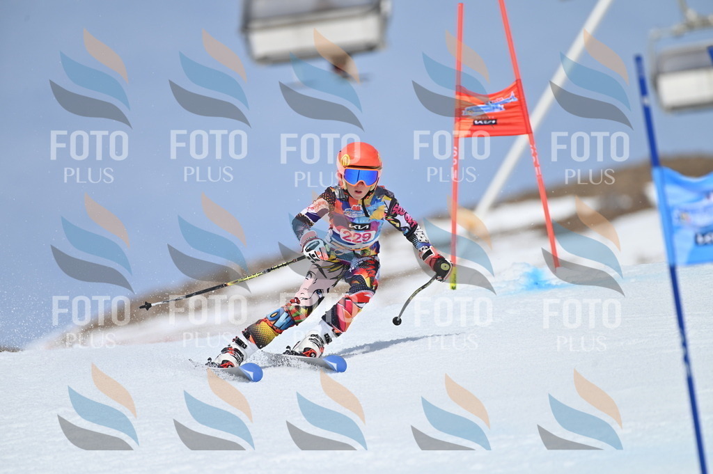 BGV_1479 | holidayphoto