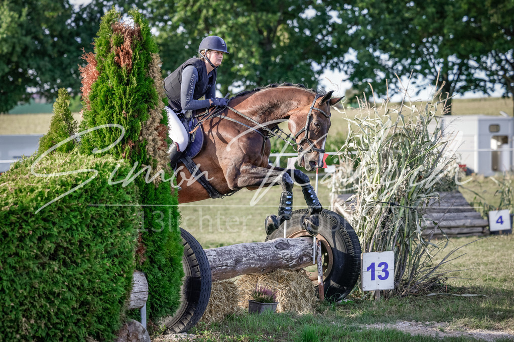 20250906-_3LI7829 | Tierfotografie Pferde, Hunde, Katzen, Haustiere.
Turnierfotografie Reitturniere, Reiten, Springreiten, Dressur in Hanau, dem Main-Kinzig-Kreis und dem Rhein-Main- Gebiet um Frankfurt