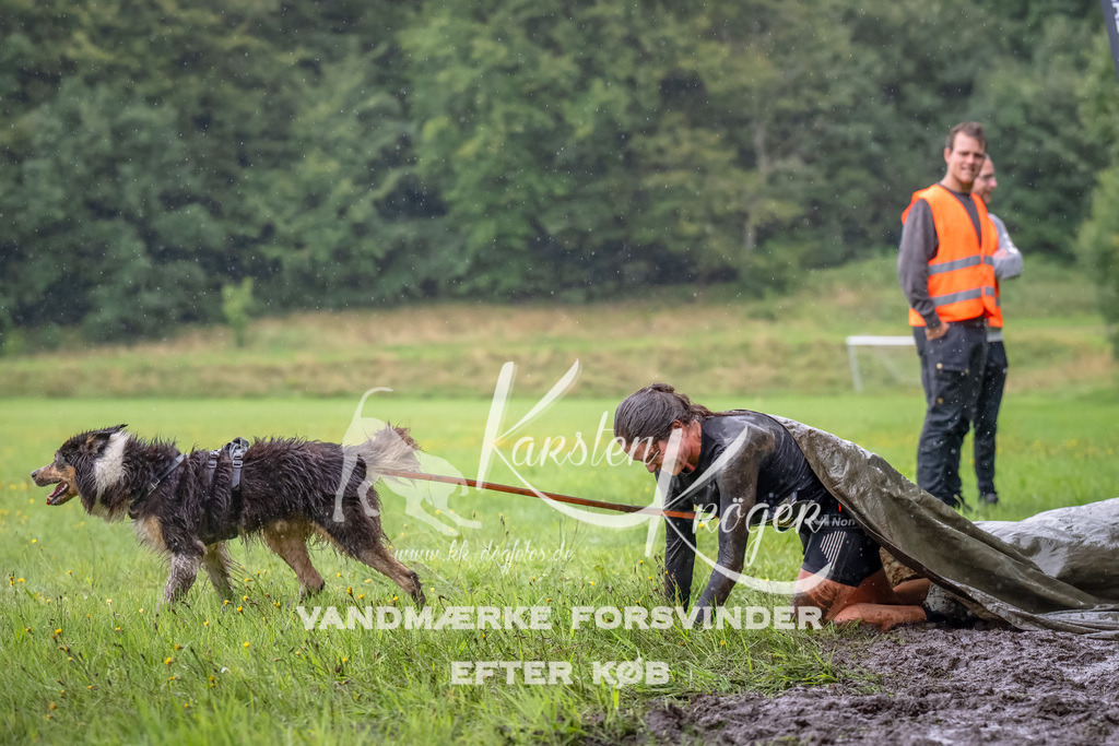 0942_ZZ91600-Bearbeitet | kk-dogfotos