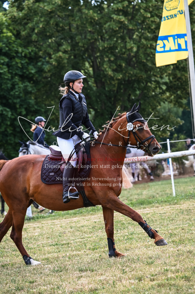 DSC_8195 | Pferde- und Turnierfotografie in Westsachsen. Pferdeportraits, Auftragszeichnungen und intuitive Kunst.