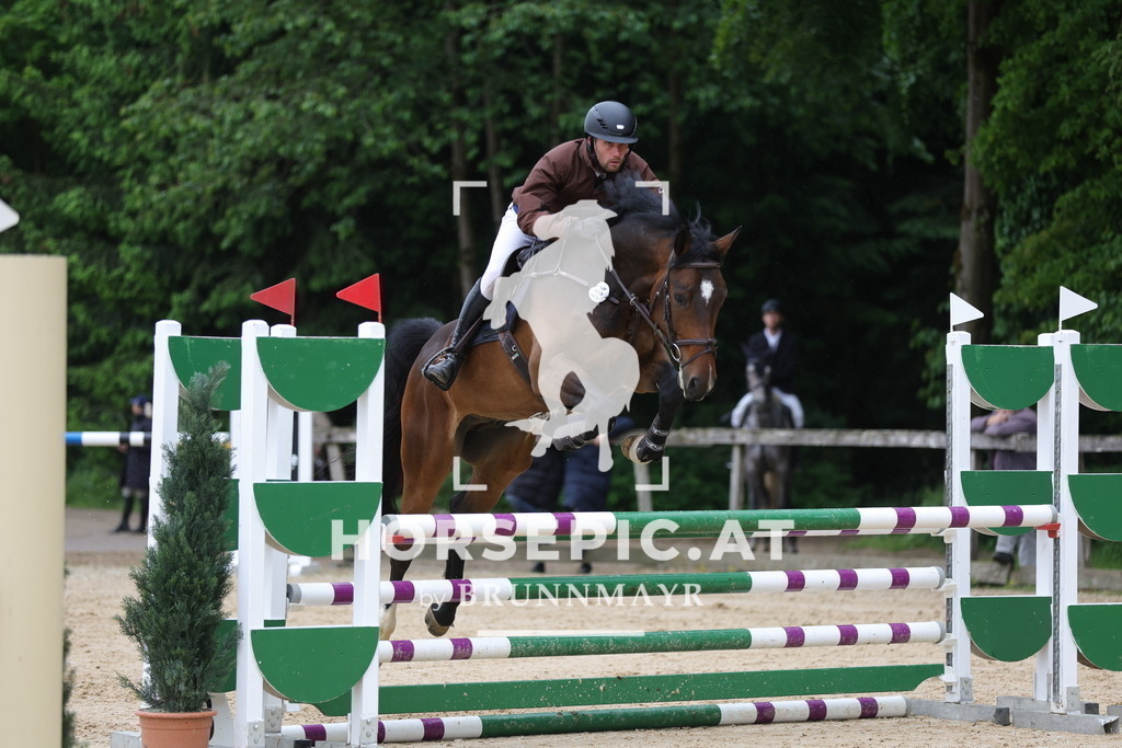 0P6A1492 | Willkommen bei Brunnmayr - Design & Fotografie – Ihrem Spezialisten für Reitturniere und Pferdeveranstaltungen in Oberösterreich, Salzburg und Bayern! Seit über 17 Jahren sind wir leidenschaftlich dabei.