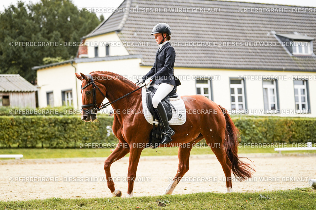 DSC07585 | Pferdegrafie