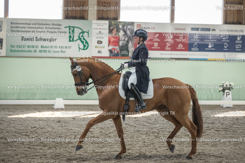 _D5A0151 | Emotionale Pferde- & People-Fotografie rund um Heidelberg, Leimen & Umgebung. Natürliche Fotos von Pferd, Mensch & Familie. Jetzt Termin sichern!