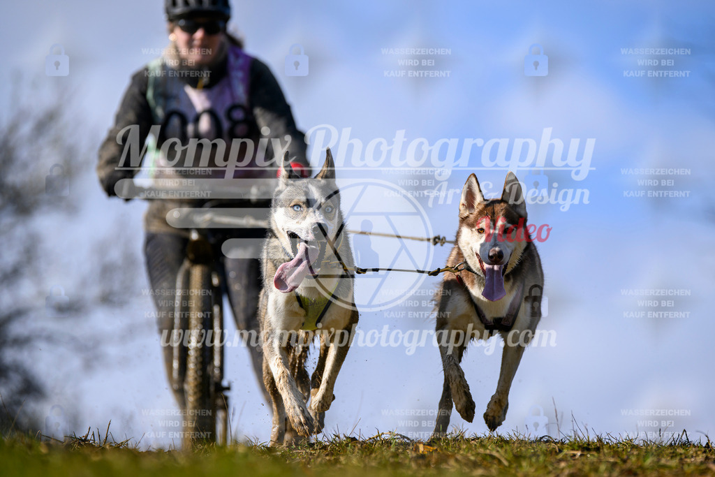 MompixPhotography_2OATB_SO_Scooter-25 | PayLife