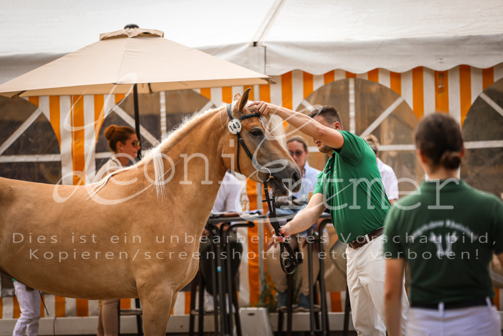 06.So00004 | Leoni Ertmer Photography - Realisiert mit Pictrs.com