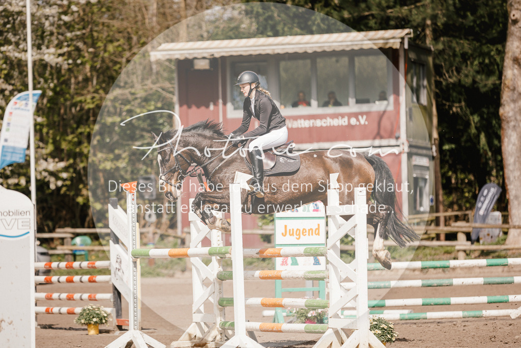 3I6A4147 | Stimmungsvolle Portraits und Reitsportfotografie im Ruhrgebiet und im Münsterland.

Pferdefotografie, Hundefotografie, Tierfotografie, Reportagen, Portraits von Tier und Mensch, Turnierfotografie in Bochum, Recklinghausen, Marl, Haltern am See, Dülmen.. - Realisiert mit Pictrs.com