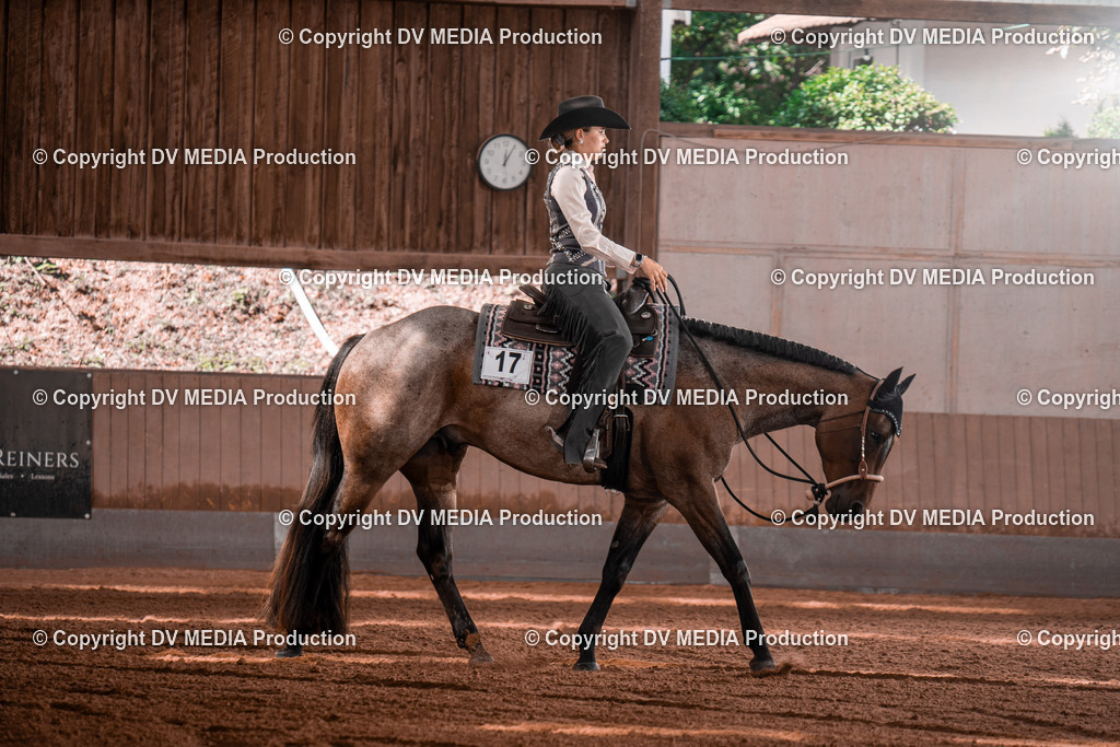 NE100319 | dv-media-shop - Realisiert mit Pictrs.com