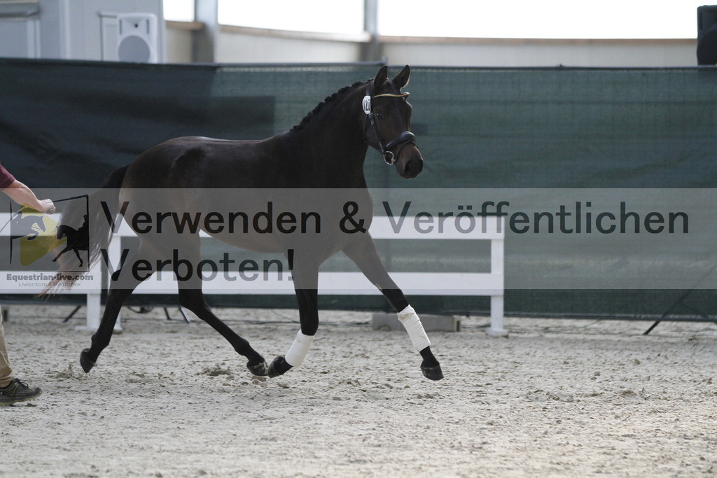 _MG_9428 | equestrian-live-com